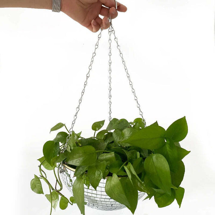 Lisslune | Disco Ball Hanging Planter