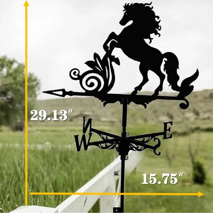 Lisslune | Stainless Steel Weather Vane!