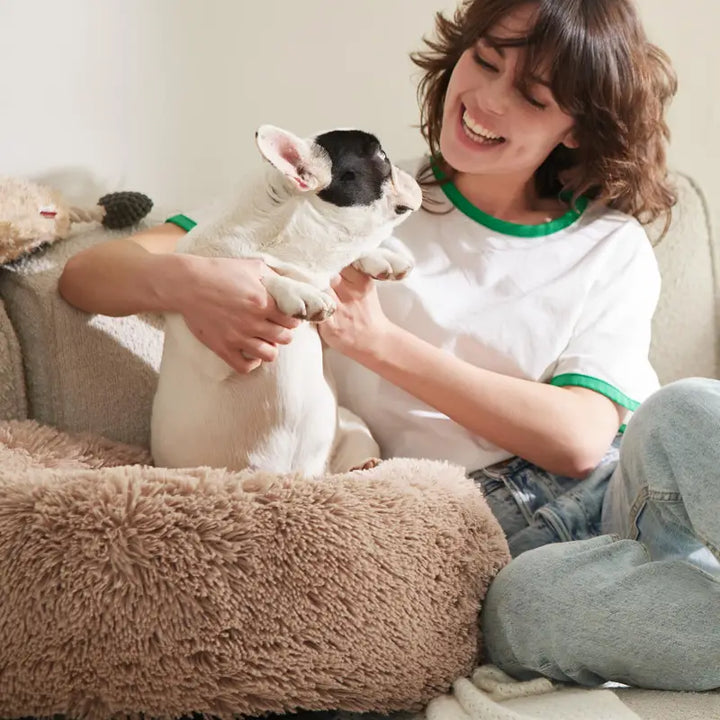 Lisslune | Milowa Soft Orthopedic Pet Bed for Cats and Dogs