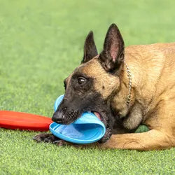 Lisslune | Soft rubber disc toy