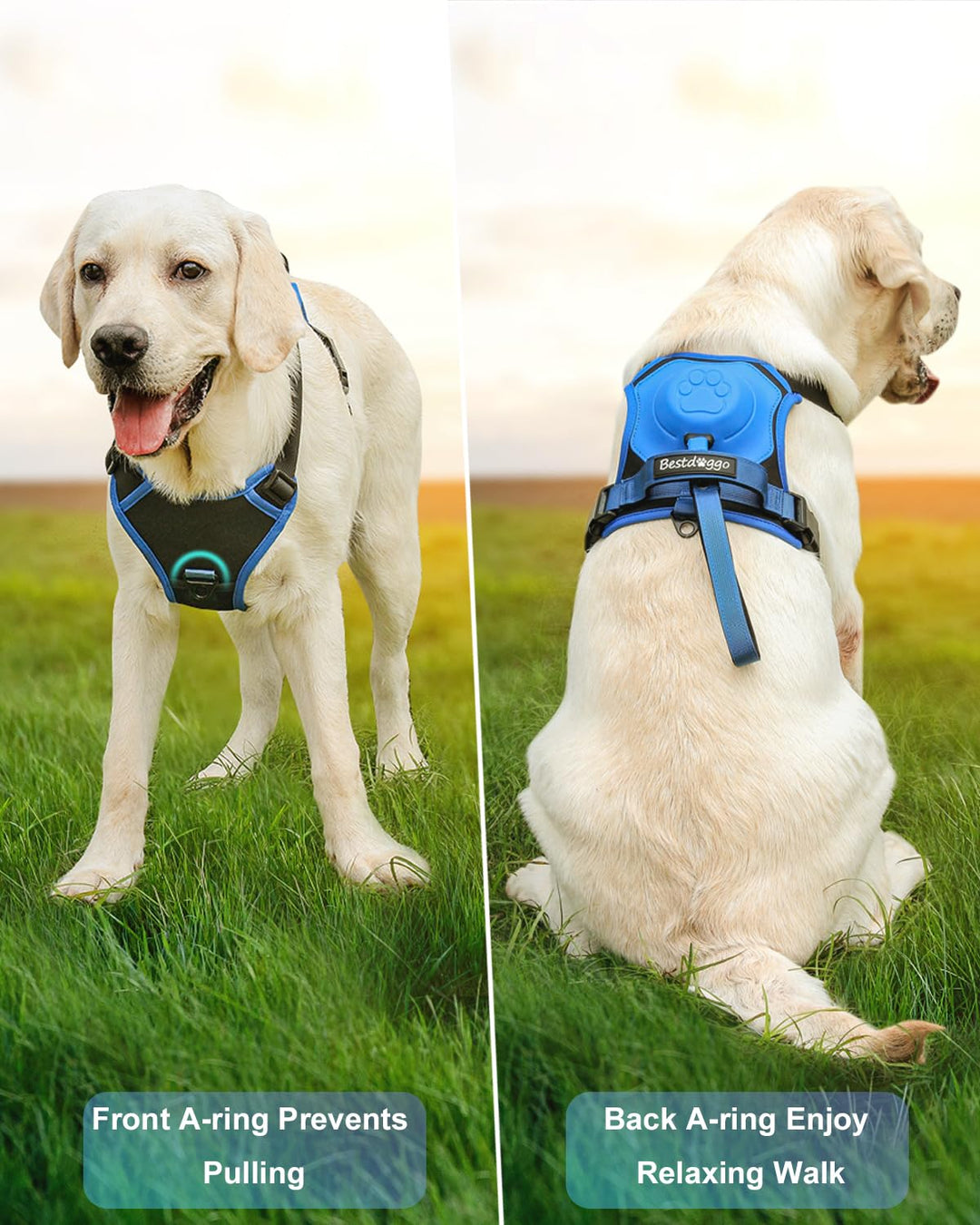 Lisslune | mamymarket™ - Dog Harness and Retractable Leash Set All-in-One