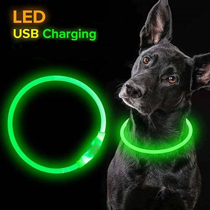 Lisslune | LED Waterproof Dog Collar