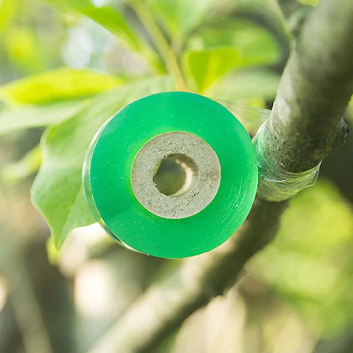 Lisslune | Grafting tape for plants – Self-adhesive grafting tape for tree pruning and grafting