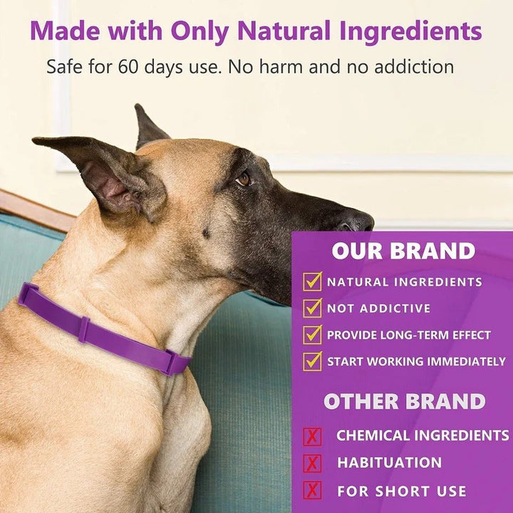 Lisslune | Calmdog – Natural Calming Collar for Dogs with Pheromones and Essential Oils