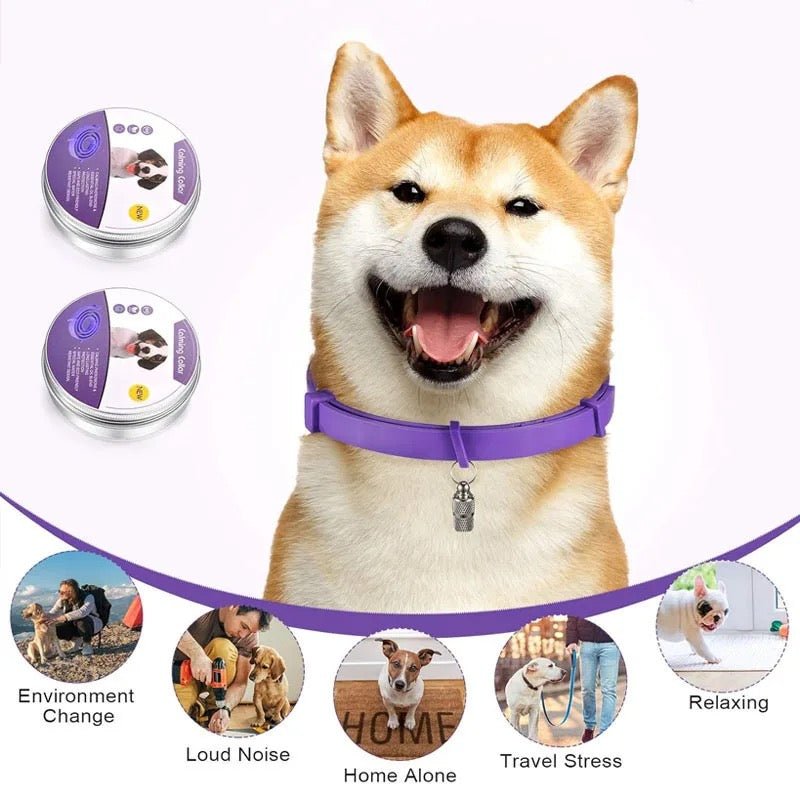 Lisslune | Calmdog – Natural Calming Collar for Dogs with Pheromones and Essential Oils