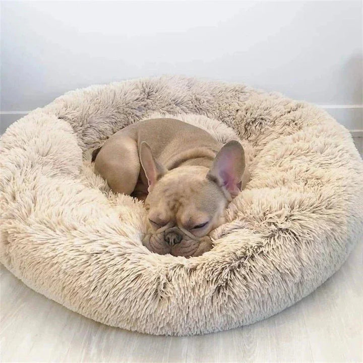 Lisslune | SLUMBERPAWS BED – Calming Dog Bed for Deep, Restful Sleep