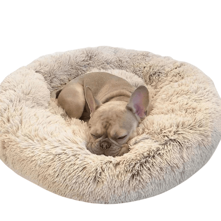 Lisslune | SLUMBERPAWS BED – Calming Dog Bed for Deep, Restful Sleep