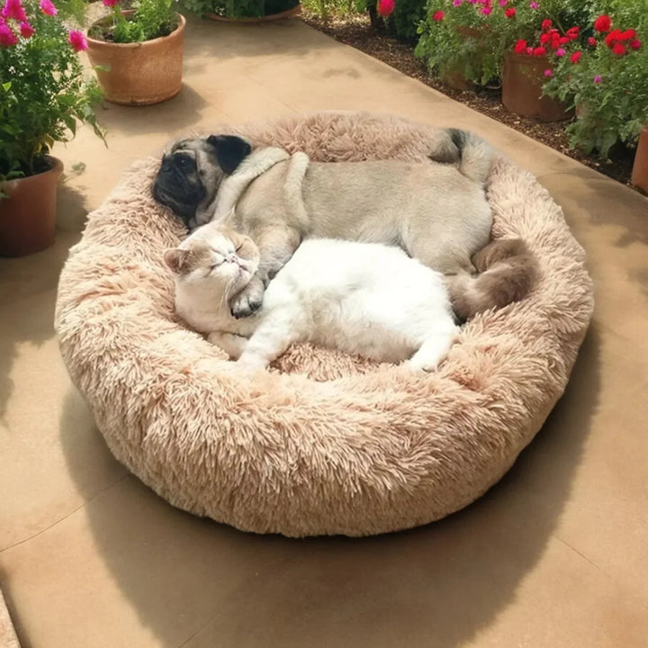 Lisslune | SLUMBERPAWS BED – Calming Dog Bed for Deep, Restful Sleep