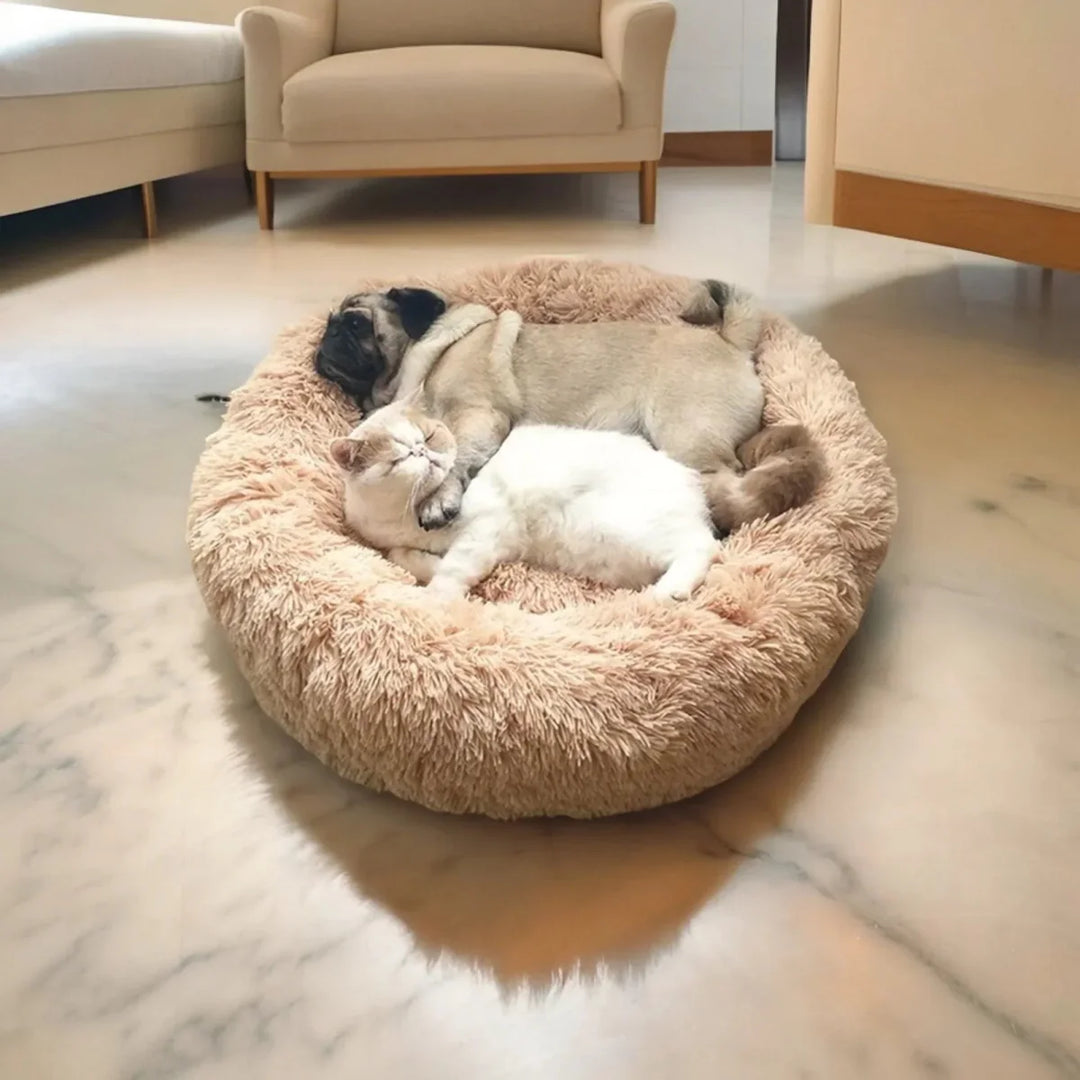 Lisslune | SLUMBERPAWS BED – Calming Dog Bed for Deep, Restful Sleep