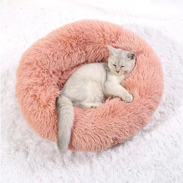 Lisslune | SLUMBERPAWS BED – Calming Dog Bed for Deep, Restful Sleep