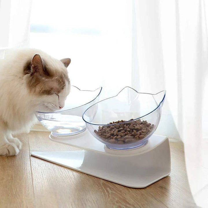Lisslune | Orthopedic Elevated Cat Bowl