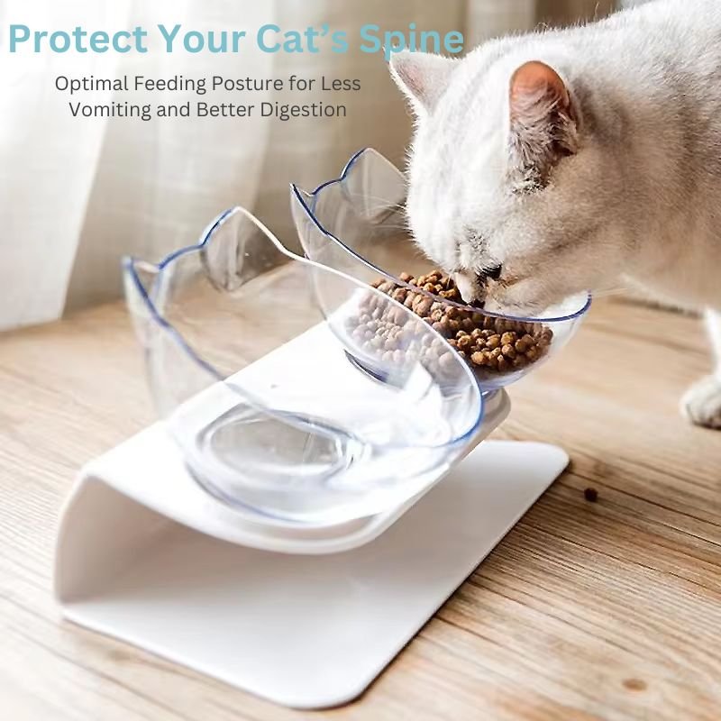 Lisslune | Orthopedic Elevated Cat Bowl