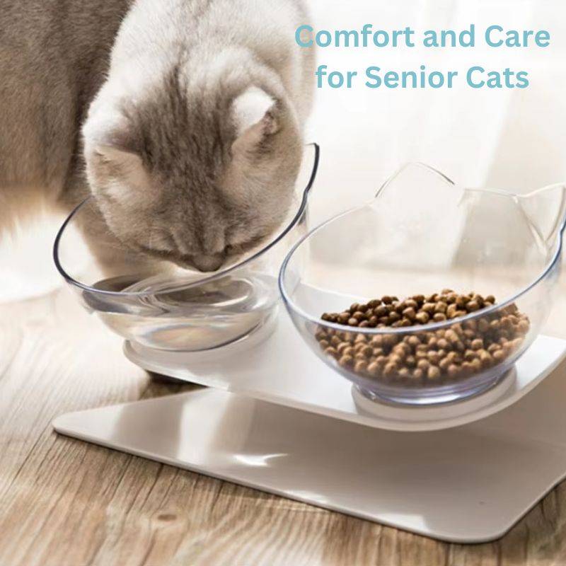 Lisslune | Orthopedic Elevated Cat Bowl