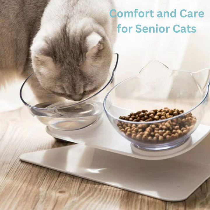 Lisslune | Orthopedic Elevated Cat Bowl