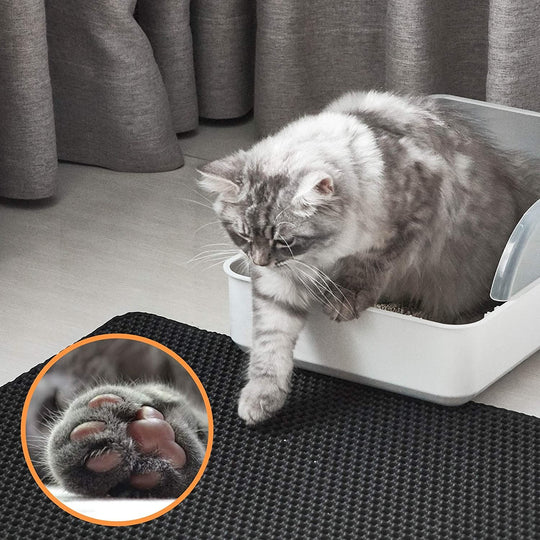 Lisslune | Cat Litter Mat with Double-Layer Trap and Non-Slip Base – PawGuard