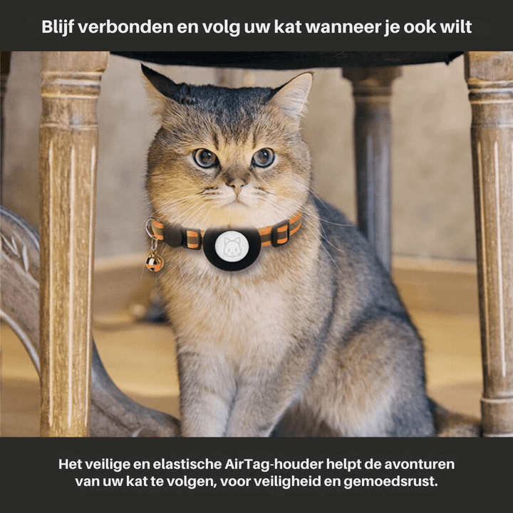 Lisslune | CATSAFE TRACK – GPS tracker collar for safety & visibility in cats