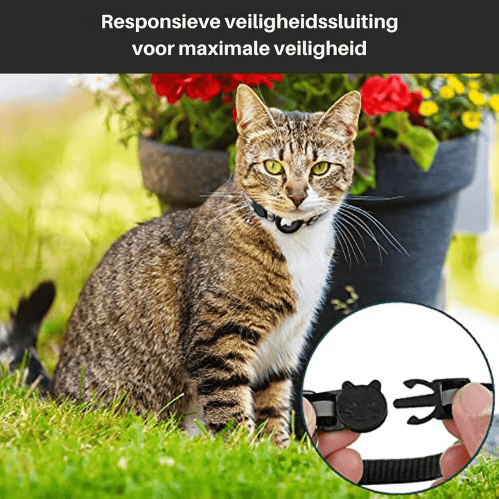 Lisslune | CATSAFE TRACK – GPS tracker collar for safety & visibility in cats