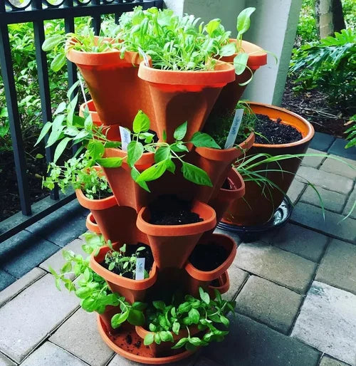 Lisslune | Vertical Garden - PlantStack - Space-saving - Green Grid Solution