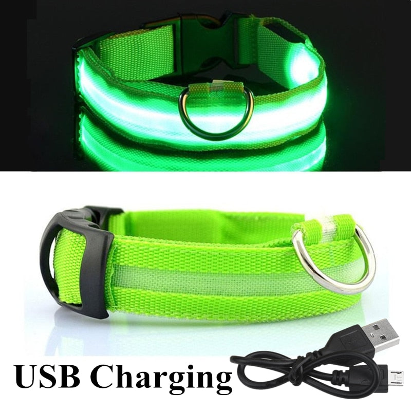 Lisslune | Adjustable LED collar