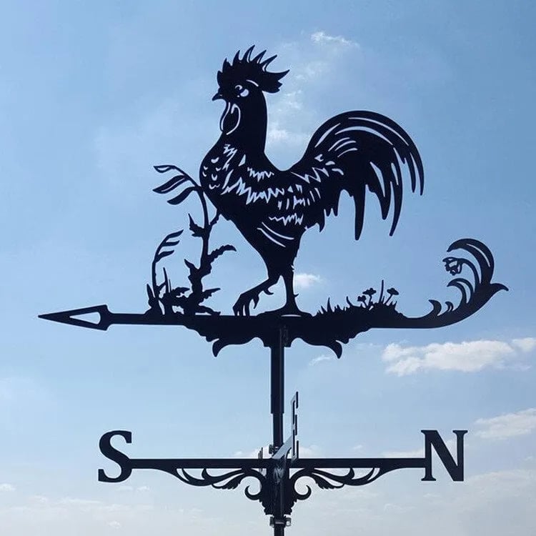 Lisslune | Stainless Steel Weather Vane!