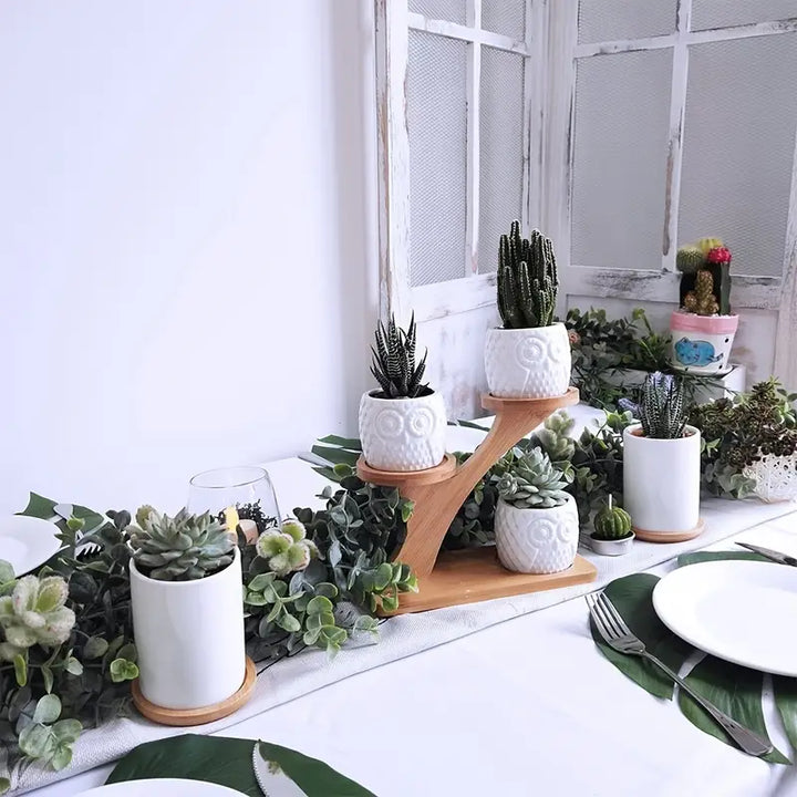 Lisslune | Decorative plant stand made of wood – plant pots in owl design for succulents and indoor plants