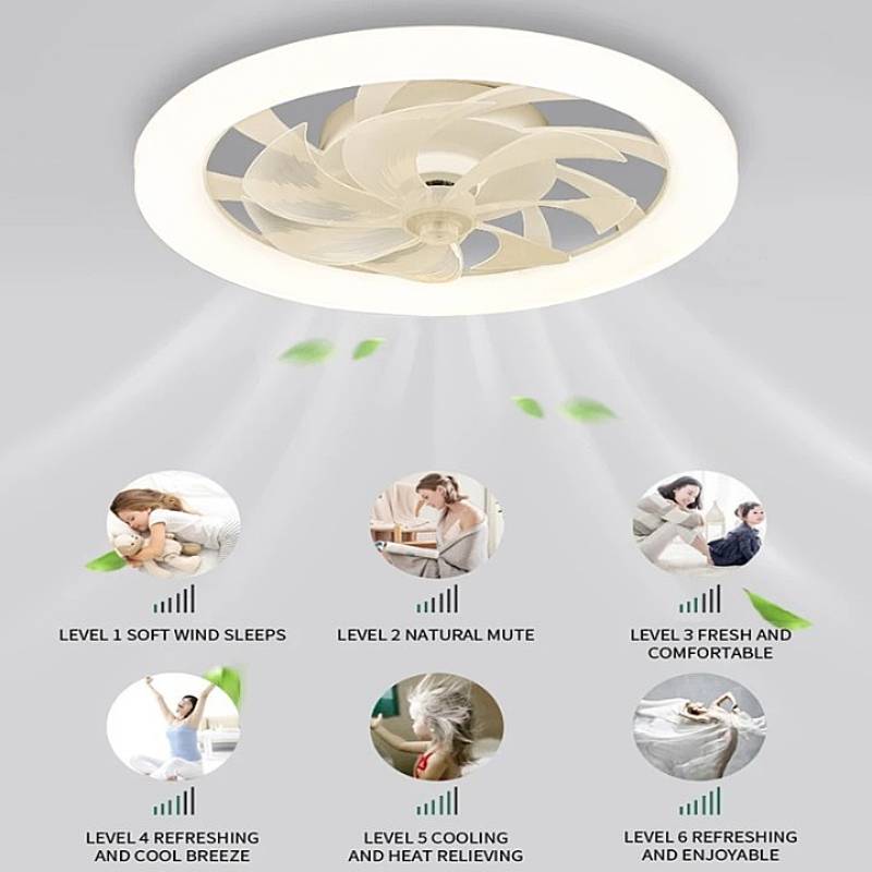 Lisslune | Modern Ceiling Fan with LED Lights