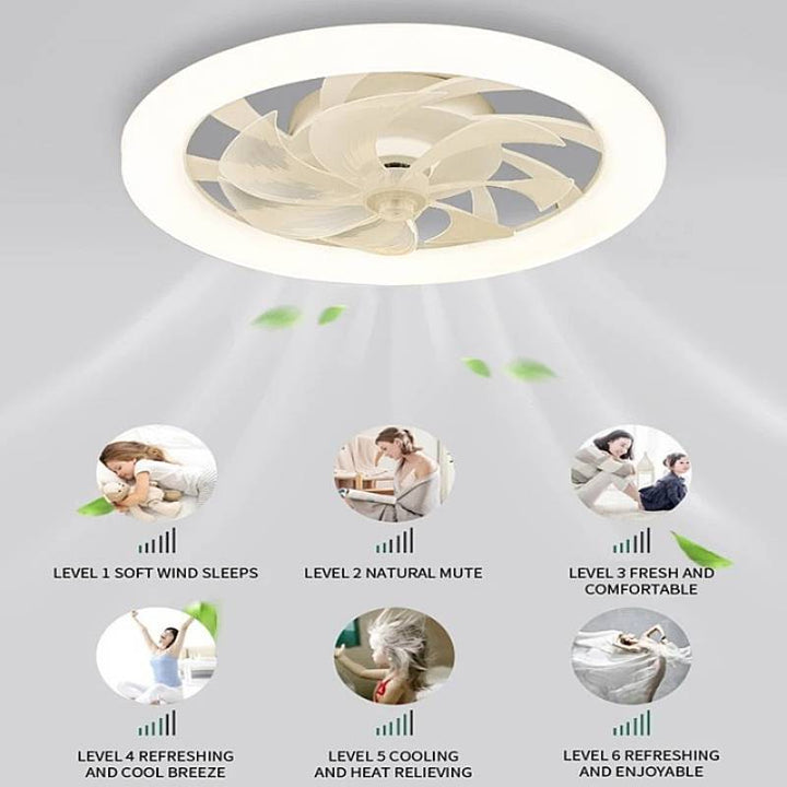 Lisslune | Modern Ceiling Fan with LED Lights