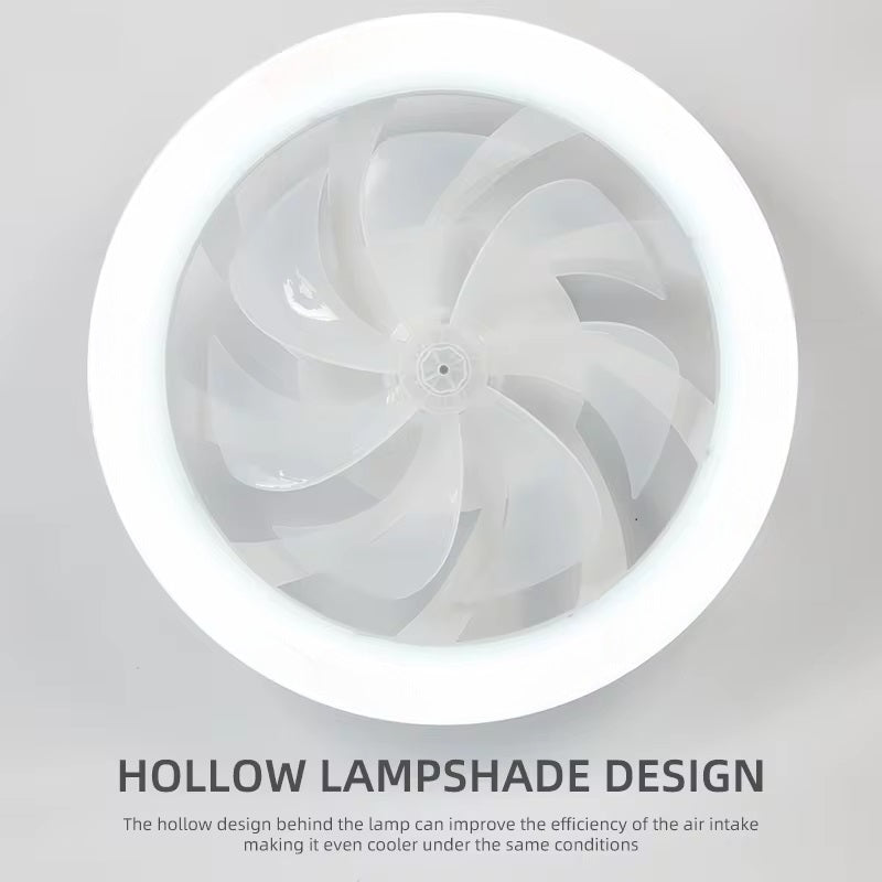 Lisslune | Modern Ceiling Fan with LED Lights