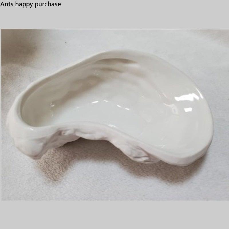 Lisslune | Ceramic Plate Oyster