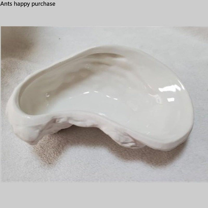 Lisslune | Ceramic Plate Oyster