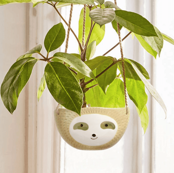 Lisslune | Ceramic Sloth Hanging Plant Pots