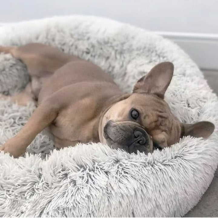 Lisslune | PAWLOFT - Calming Pet Bed
