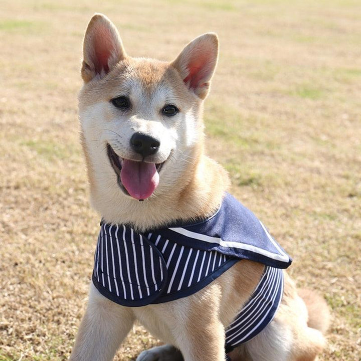 Lisslune | Stylish Navy Striped Dog Harness and Leash Set - Elegant Pet Outfit