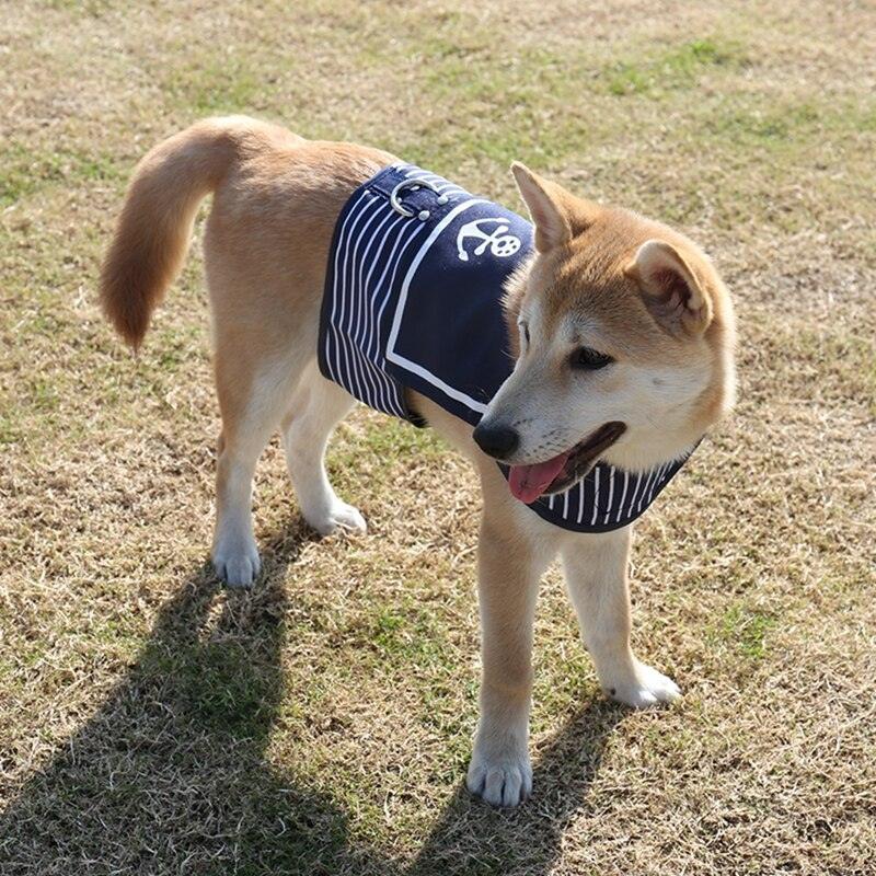 Lisslune | Stylish Navy Striped Dog Harness and Leash Set - Elegant Pet Outfit