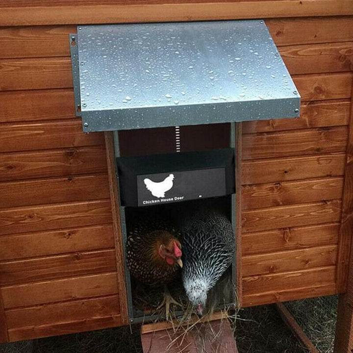 Lisslune | PRO+ | Automatic Chicken Flap