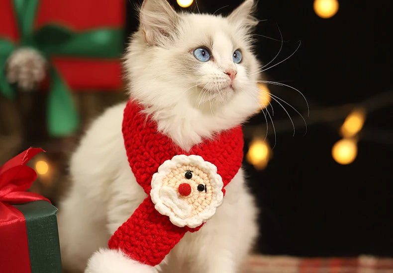 Lisslune | Christmas Pet Scarf & Hat – Adorable Red Scarf for Kittens & Puppies, Perfect Holiday Gift & Festive Accessory