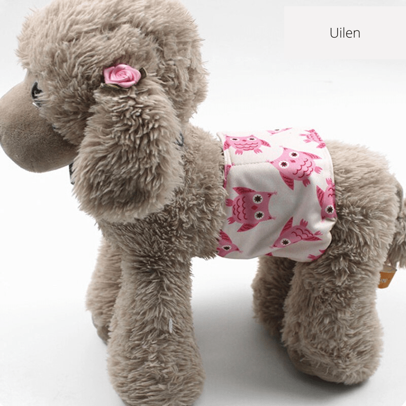 Lisslune | PUPDRY Reusable – Leak-Proof Diaper for Incontinence and Training