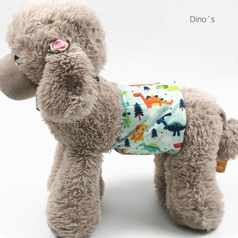 Lisslune | PUPDRY Reusable – Leak-Proof Diaper for Incontinence and Training