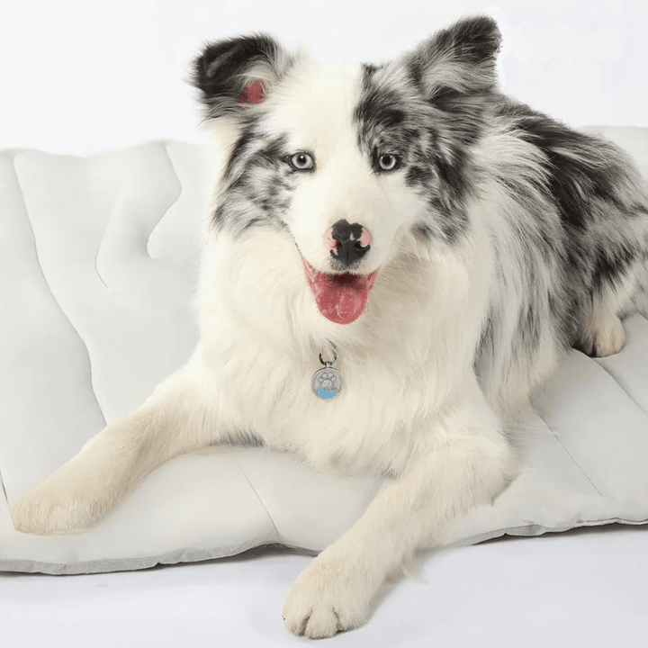 Lisslune | CoolPaws Cooling Mat – Self-Cooling Dog Mat for Hot Summer Relief