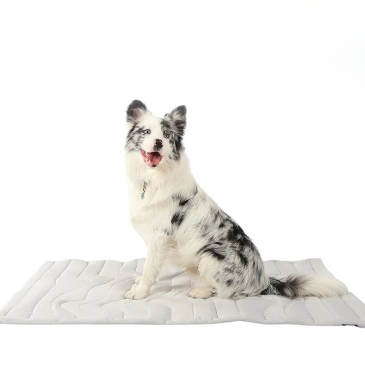 Lisslune | CoolPaws Cooling Mat – Self-Cooling Dog Mat for Hot Summer Relief
