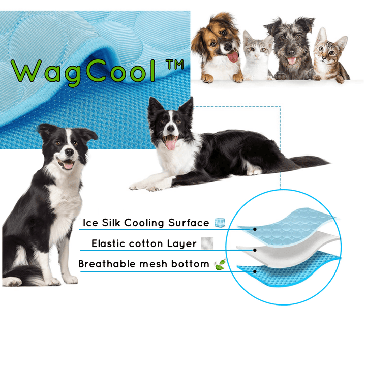 Lisslune | COOLPET MAT – Pressure-Activated Cooling Dog Mat for Instant Comfort