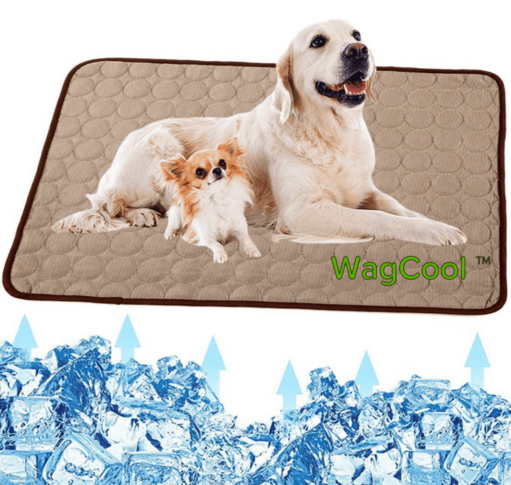 Lisslune | COOLPET MAT – Pressure-Activated Cooling Dog Mat for Instant Comfort