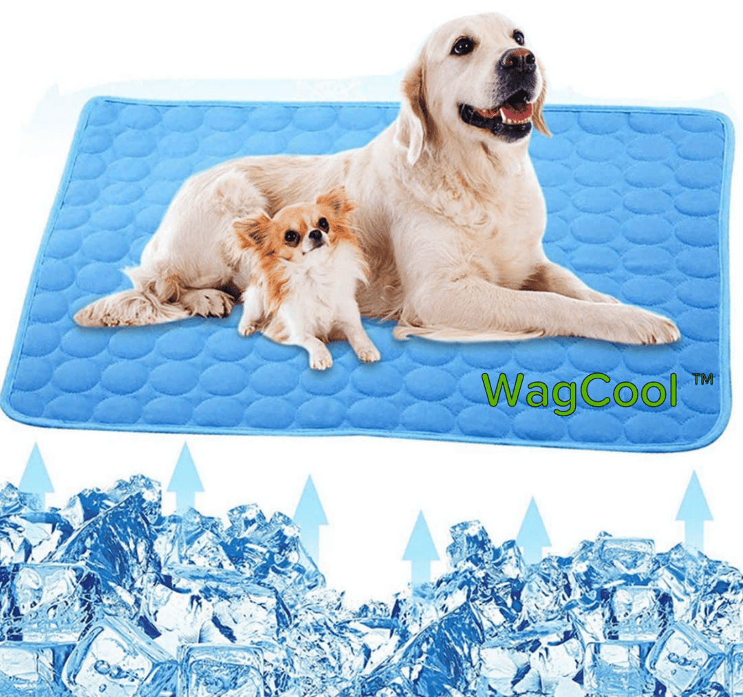 Lisslune | COOLPET MAT – Pressure-Activated Cooling Dog Mat for Instant Comfort