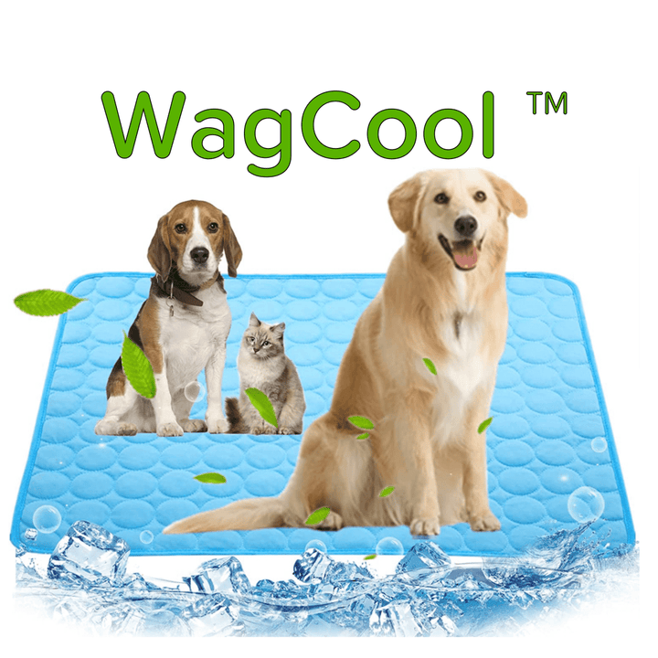 Lisslune | COOLPET MAT – Pressure-Activated Cooling Dog Mat for Instant Comfort