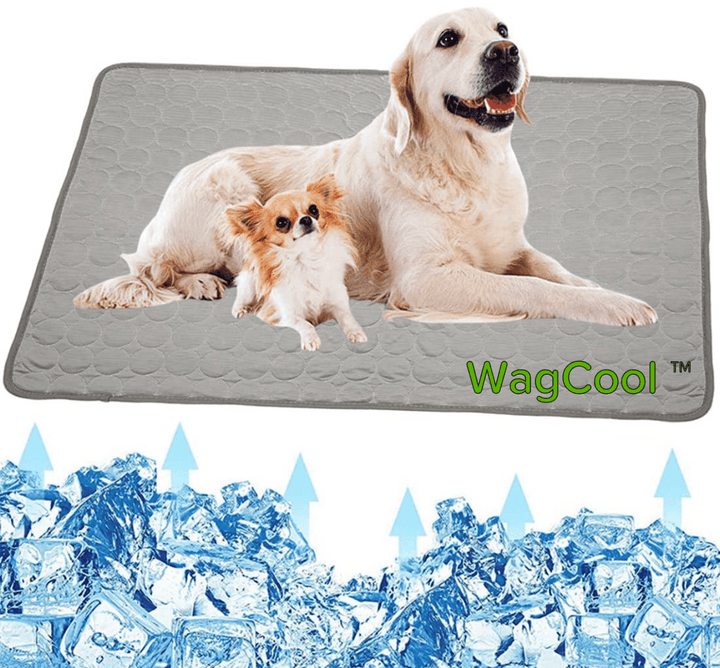 Lisslune | COOLPET MAT – Pressure-Activated Cooling Dog Mat for Instant Comfort