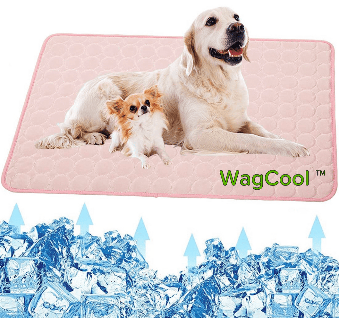 Lisslune | COOLPET MAT – Pressure-Activated Cooling Dog Mat for Instant Comfort