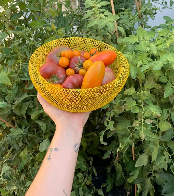 Lisslune | Steel Mesh Fruit Basket with Ventilation for Fresh Storage