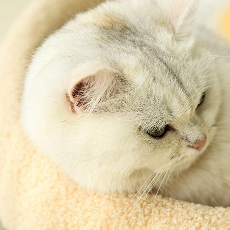 Lisslune | COSYCAT Retreat – Stylish Cat Bed with Sisal Scratch Surface & Cushion