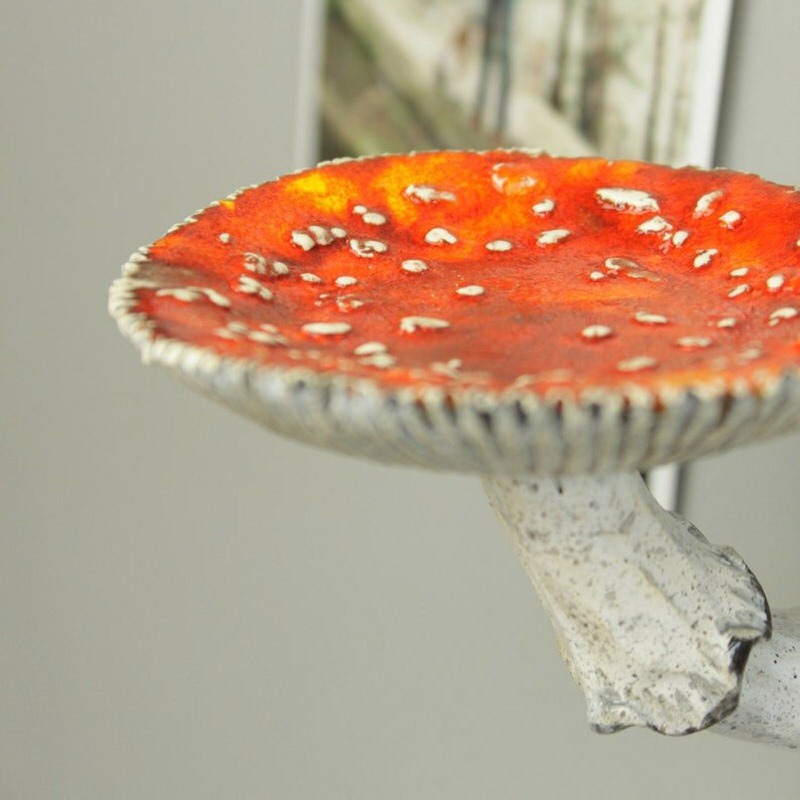 Rynx | Mushroom Wall Shelf