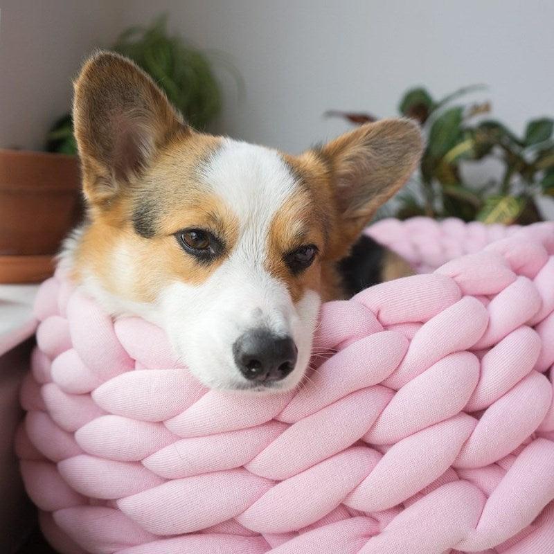 Lisslune | Luxurious handwoven wool pet bed for supreme comfort and elegance